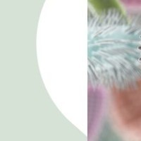 SIBO i IMO Skuteczna terapia bez nawrotÃ³w